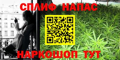 прущие грибы Балашиха